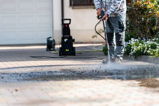 Best Affordable Power Washing  in Windsor, CO