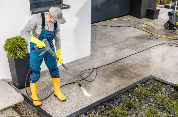 Best Deck Cleaning Services  in Windsor, CO