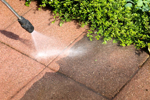 Best Affordable Pressure Washing  in Windsor, CO
